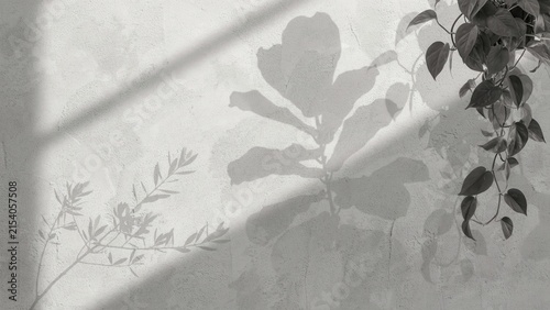 Black and white of plant leaf shadows cast onto a textured wall, featuring a hanging houseplant in the corner and soft light beams