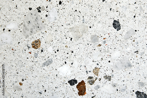 Neutral Terrazzo Surface with Dense White and Gray Aggregate Details.