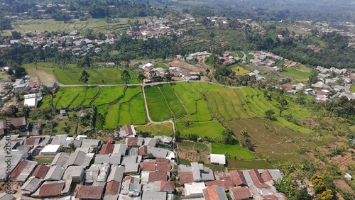 Obraz na płótnie Aerial view of lush rice fields surrounded by rural houses, farmland, and mountain landscapes, showcasing traditional agriculture and countryside settlement in Indonesia
