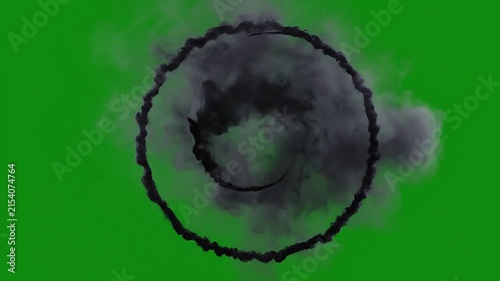 Dark spooky mist combined with swirling dust particles, ghostly cold fog slowly twisting and expanding in elegant circular patterns, atmospheric supernatural smoke animation, green screen background