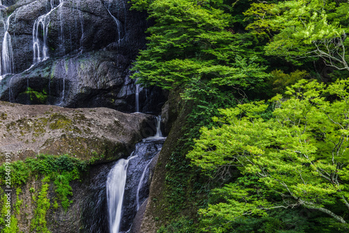 Foto 袋田の滝