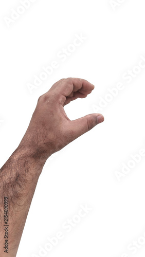 A man s hairy arm reaching out to grasp something a gesture of holding or indicating size with a plain white background and crisp