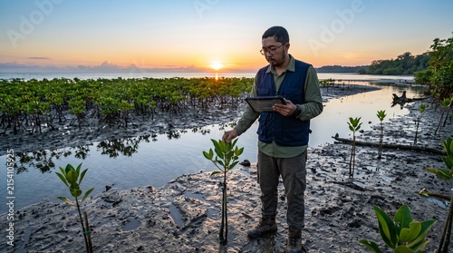 Southeast-asian man inspecting mangrove plants with tablet in coastal wetland at sunset