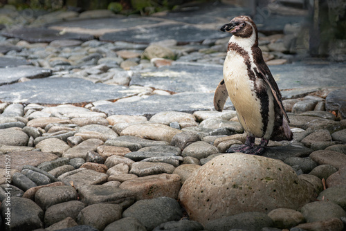 Prague Zoo