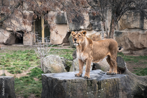 Prague Zoo