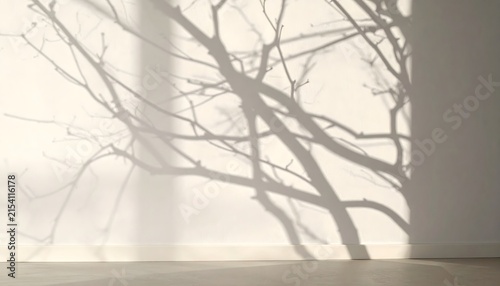 Sombras de ramas de árbol sin hojas proyectadas sobre una pared clara con luz natural suave y composición minimalista