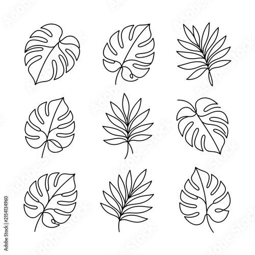 Monstera and Palm Leaves Continuous One Line Art Vector Set