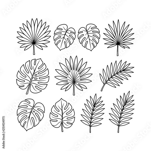 Tropical Palm and Monstera Leaves Line Art Vector Set