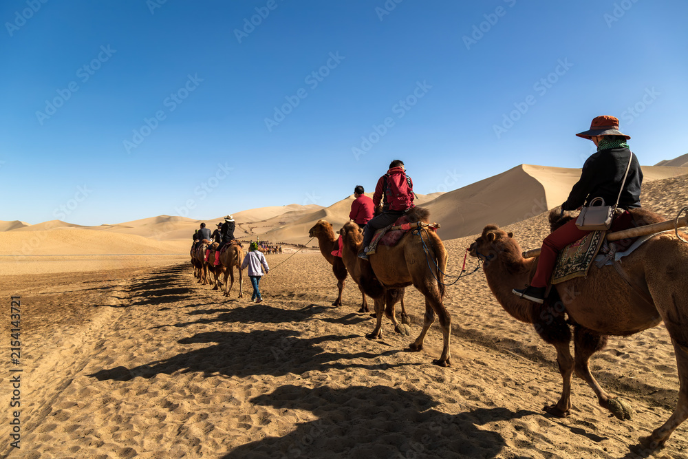 Fototapeta premium Camel riding classes are available at the Mingsha Mountain Scenic Area in Gansu.