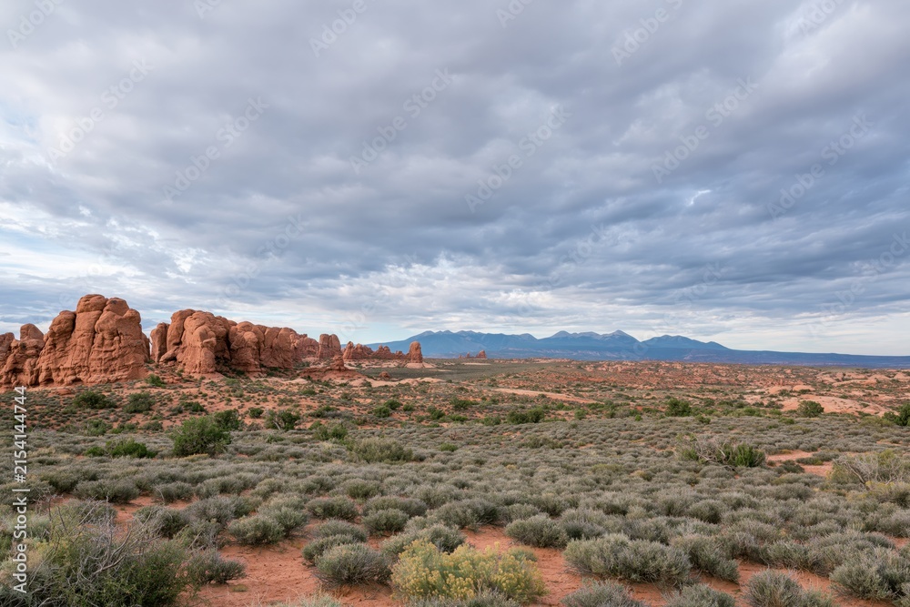 Naklejka premium The Red Rock Desert Landscape Under Cloudy Sky and Distant Blue Mountains