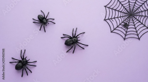 Halloween spider web pattern on light purple background
