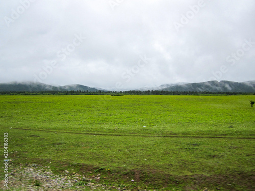 Vast green field under overcast sky with distant mountains