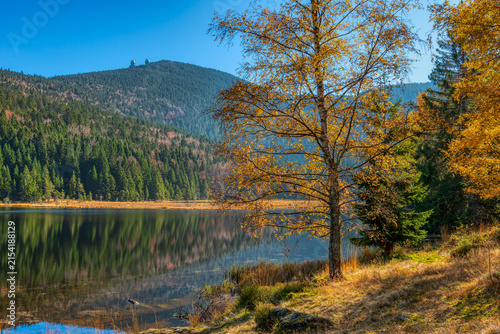 Kleiner Arbersee im Bayerischen Wald