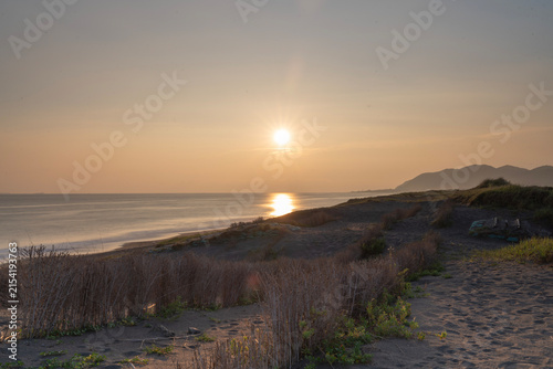 Golden sunset reflecting on ocean horizon with coastal dune grass in foreground
