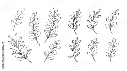 Botanical Leaf Branch Line Art Vector Illustrations Set