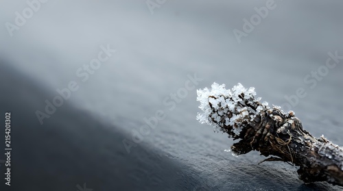Frost-covered tree bark or wood surface with crystalline ice