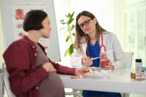 Woman doctor explains kidney function on model to pregnant patient during clinic visit. Focused medic points at organ discussing prenatal urine test