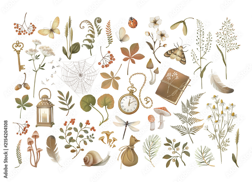 Naklejka premium The forest set. Forest plants, insects, mushrooms, a lantern, a notebook on a white background.