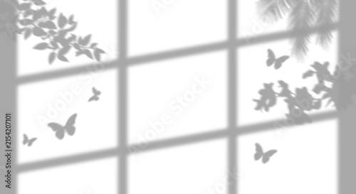 A soft overlay of window frame and natural foliage shadows with flying butterflies cast on a wall surface isolated on a clear transparent background