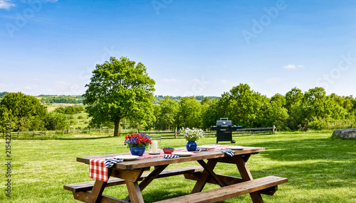 Empty picnic table holds patriotic flowers and plates in a rural meadow.