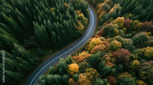 Winding road through a vibrant forest in autumn, aerial view