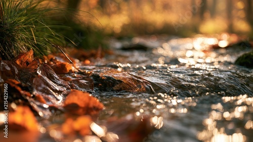Autumn leaves drift by a sunlit forest stream