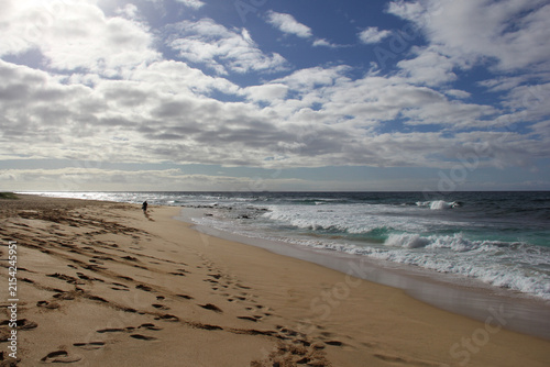 Fotografie Scenic Hawaiian beach with ocean waves, sandy shoreline and a lone person walking along the coast