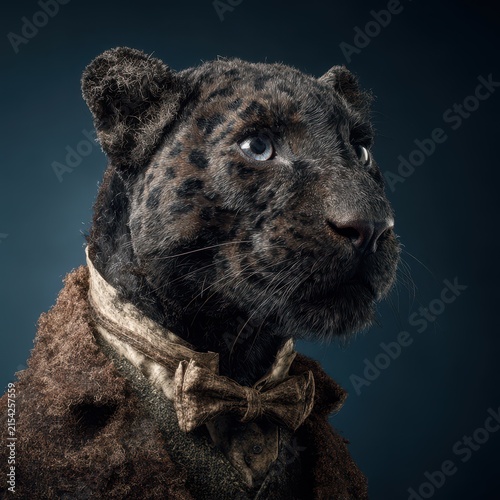 Portrait of a majestic black jaguar with piercing blue eyes dressed in vintage clothing against dark background
