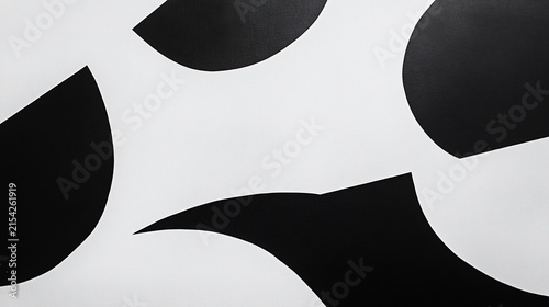 Abstract Black and White Geometric Shapes Pattern