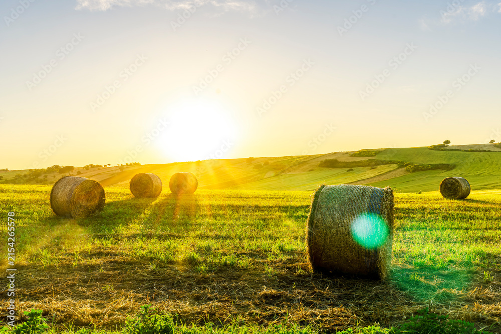 Fototapeta premium amazing hay stack summer field with golden hay grass on the ground and round stacks on foreground and amazing sunset green valley landscape on background