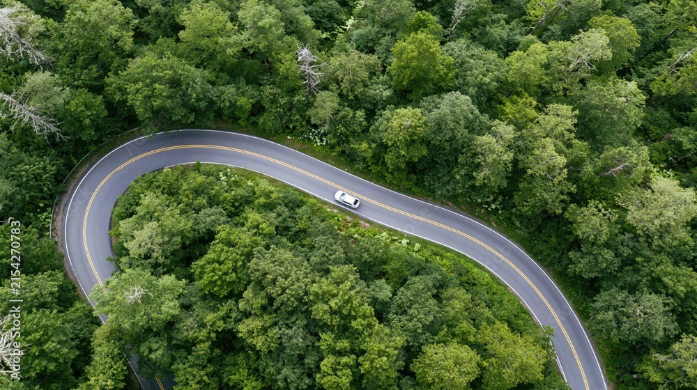 Obraz premium The winding forest road twisting through lush emerald trees with a lone car