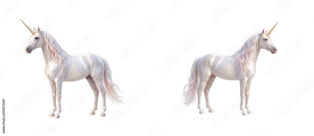 Fototapeta premium Two majestic unicorn horses isolated on transparent background