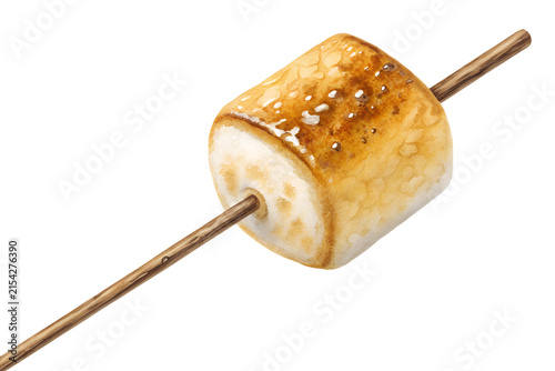 Delicious golden brown toasted marshmallow on a wooden stick depicted in vibrant watercolor on transparent background