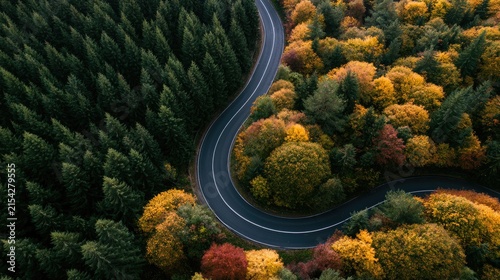 Aerial view of a winding road cutting through a vibrant forest in autumn