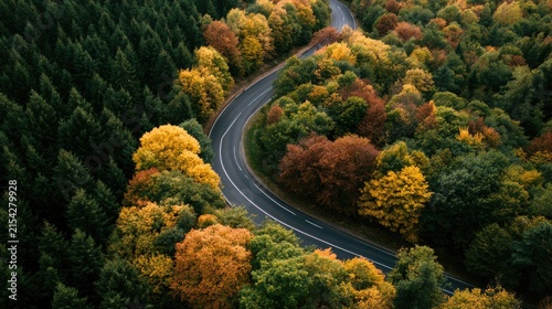 Winding road through vibrant autumn forest with dark evergreens