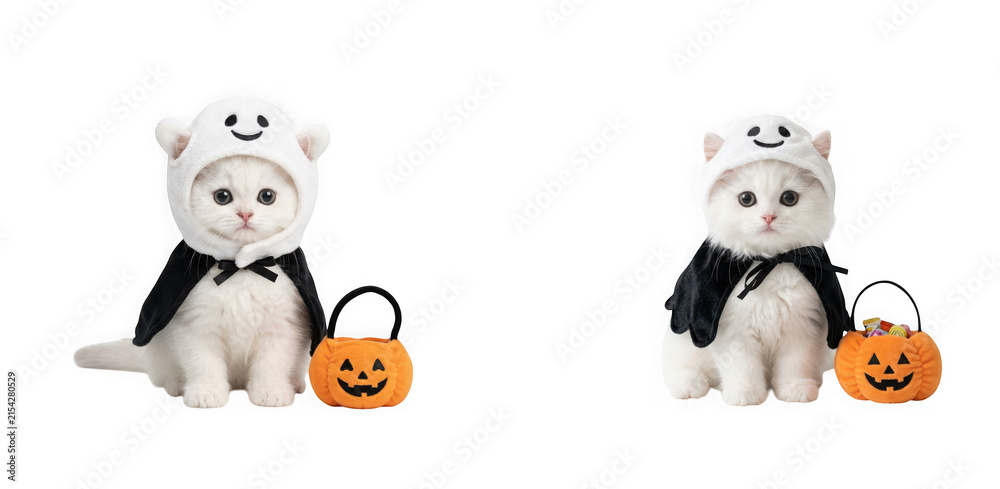 Fototapeta premium Two fluffy kittens dressed as ghosts with pumpkin buckets isolated on transparent background