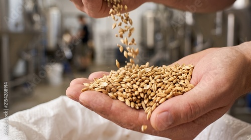 A person holds a handful of grains, letting some fall from their hand. In the background, equipment used for processing grains is visible. This scene captures a moment in a production area