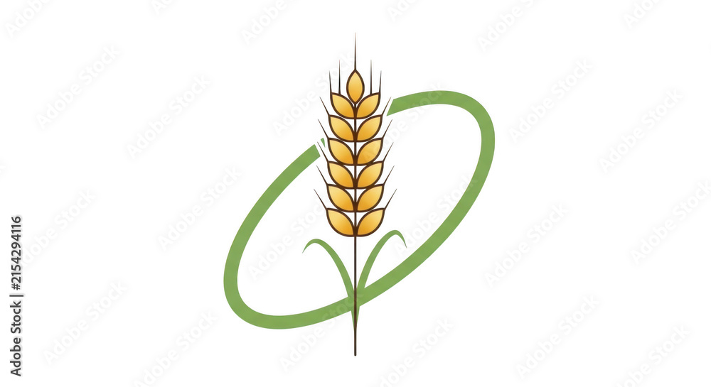 Fototapeta premium Green wheat stalk with ears in a loop