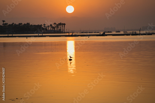 Golden sun dips low over calm waters. Ripples mirror its warm, glowing light. Lone bird glides gracefully across the surface. Distant palm trees stand silhouetted against the sky