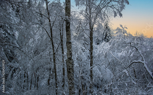 Amazing panoramic view of snow-capped peaks shining under the golden light of the sun