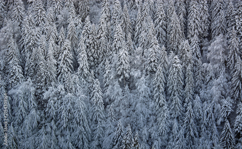 Last rays of sunlight kissing the white snow before the winter night