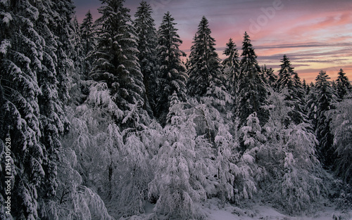 Spectacular winter sunrise that colors the snow-capped peaks of the highest mountains pink