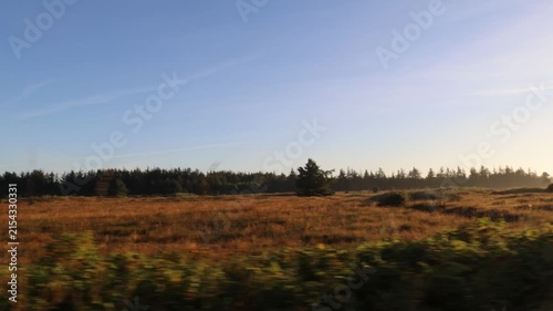 Hirtshals, Denmark A view of a lush field at sunrise. 