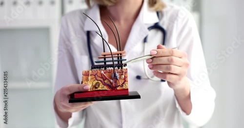 In a bright clinic, a practitioner delicately holds a detailed model showcasing traditional healing techniques.