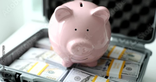 A cheerful pink piggy bank sits proudly atop stacks of cash inside a stylish case, sharing smart money-saving ideas. Learn how to manage savings creatively.