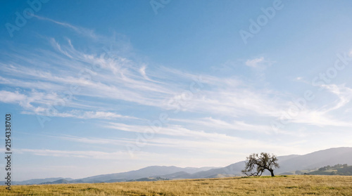 Serene landscape photograph featuring a solitary gnarled tree in a golden field under a vast blue sky with wispy clouds.