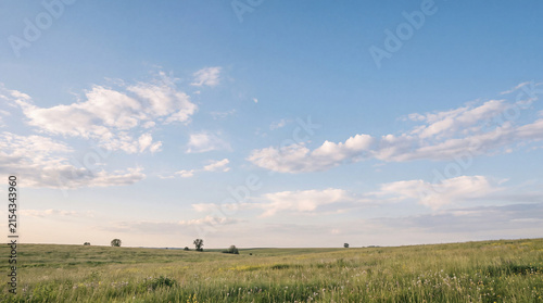 Calm and vast green field stretching to the horizon under a soft blue sky with scattered clouds.