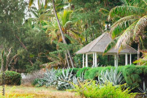 Paysage d'une cabane sous les palmiers. Ambiance tropicale. Lieu de vacances paradisiaque. Petit abri sous les arbres