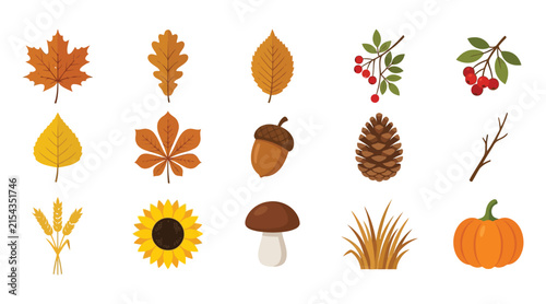 Autumn collection of leaves fruits and vegetables in watercolor style illustration. vector illustration
