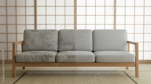 Clean and Dirty Minimalist Sofa in Japanese Style Room